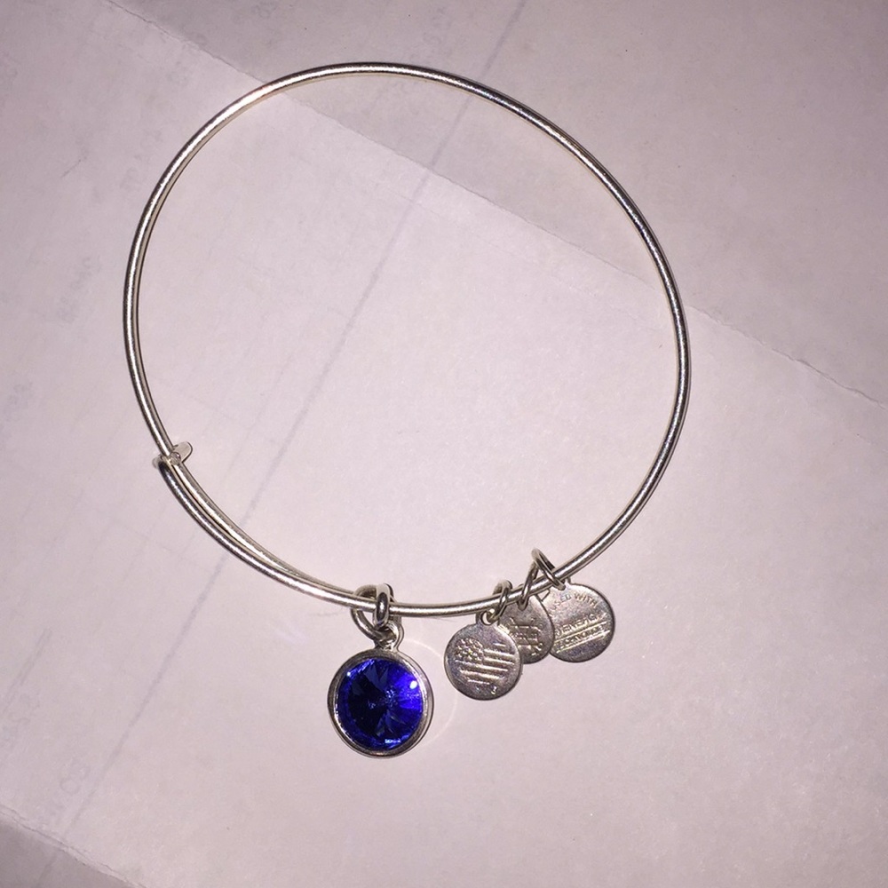 Alex and Ani charm bracelet